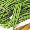 Sassy Bush Bean Seed