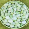 Fordhook 242 Lima Bean Seed