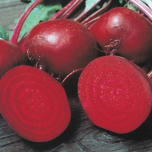 Perfected Detroit Beet Seed - Image 2