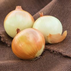 Candy Hybrid Onion Seed