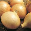 Walla Walla Onion Seed