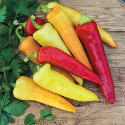 Sweet Banana Sweet Pepper  Seed