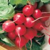 Cherry Belle Radish Seed