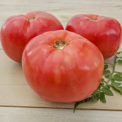 Brandywine Tomato Seeds