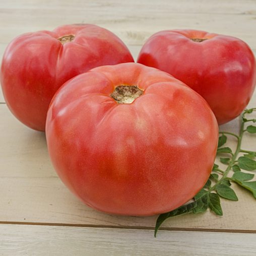 Brandywine Tomato Seeds