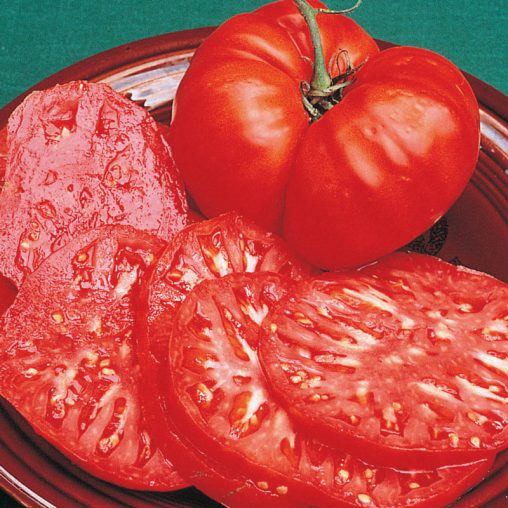 Brandywine Tomato Seeds - Image 2