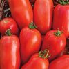 Roma Tomatoes  Seed