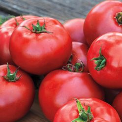 Better Boy Hybrid Tomato Seed