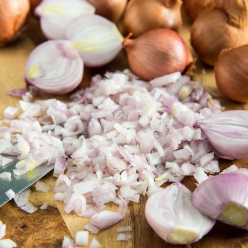 Red Sun Shallot  Seed - Image 3