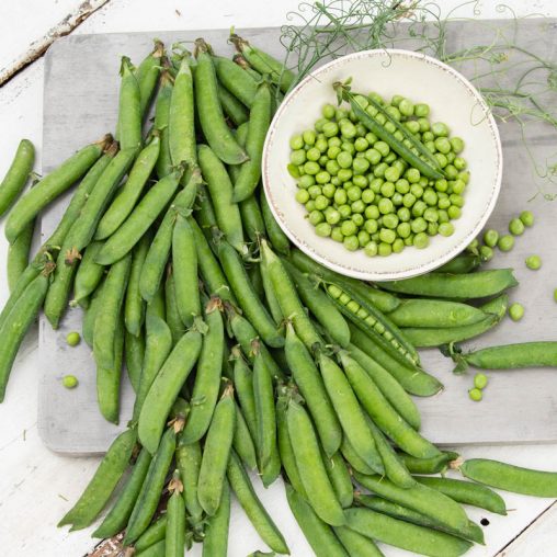 Sweet Pick Pea Seed - Image 2