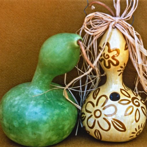 Birdhouse Gourd Seed - Image 3