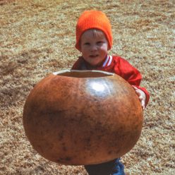 Bushel Gourd Seed