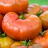 Tasmanian Chocolate Tomato  Seed