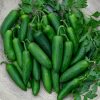 Nadapeno Sweet Pepper  Seed