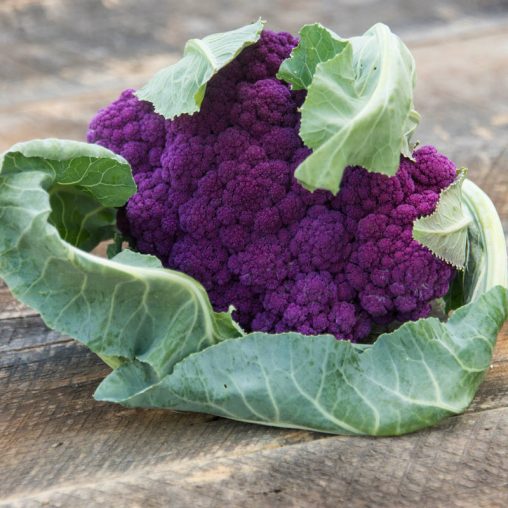 Mulberry Hybrid Cauliflower Seed - Image 2
