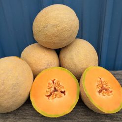 Sugar Rush Hybrid Melon