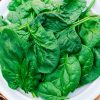Acadia Hybrid Spinach  Seed
