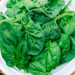 Acadia Hybrid Spinach  Seed