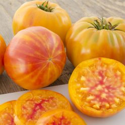 Big Rainbow Tomato  Seed