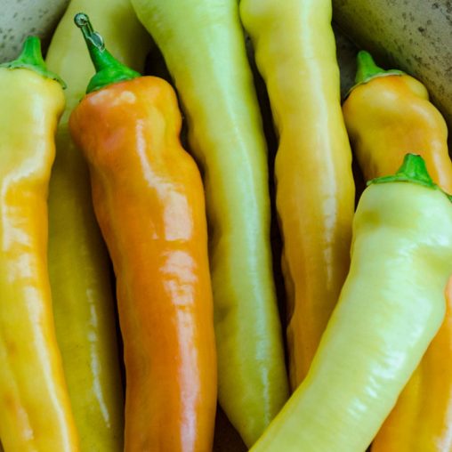 Sweet Banana Sweet Pepper  Seed - Image 2
