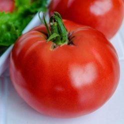 K2 Hybrid Tomato Seed  Seed