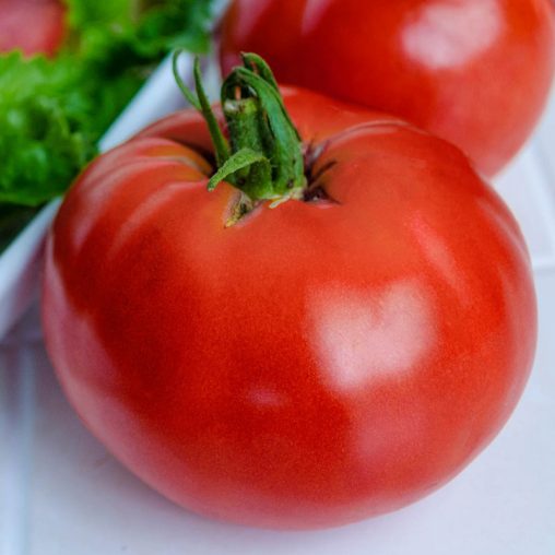 K2 Hybrid Tomato Seed  Seed