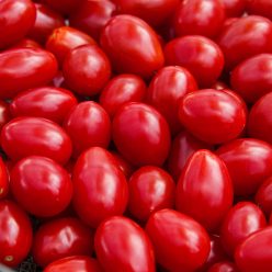 Jelly Beans Hybrid Tomato  Seed