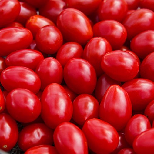 Jelly Beans Hybrid Tomato  Seed