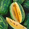 Mountain Sweet Yellow Watermelon Seed