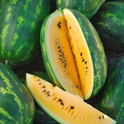 Mountain Sweet Yellow Watermelon Seed