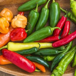 Hot Pepper Mix  Seed