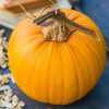 Naked Bear Hybrid Pumpkin Seed