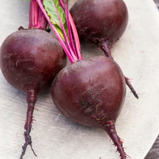 Red Titan Hybrid Beet Seed - Image 2
