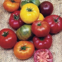 Heirloom Rainbow Blend Tomato  Seed