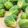 Jade Cross Hybrid Brussels Sprouts Seed