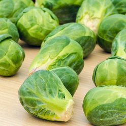 Jade Cross Hybrid Brussels Sprouts Seed