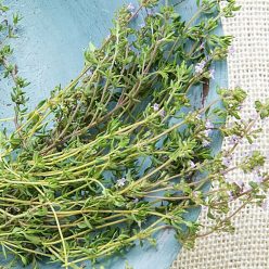 German Winter Thyme Herb — Seed