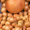 Stuttgarter Reisen Onion  Seed