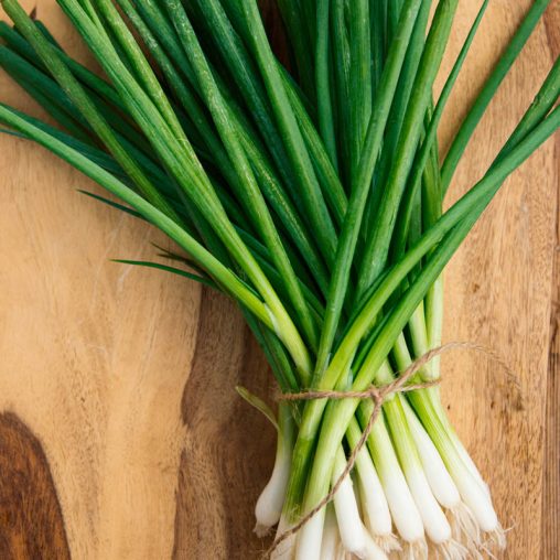 Evergreen White Bunching Onion Seed - Image 3
