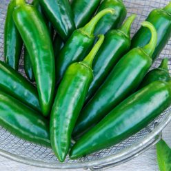 Primo II Jalapeno Hybrid Pepper  Seed