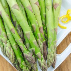 Spartacus Hybrid Asparagus Seed