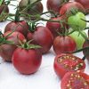 Chocolate Cherry Tomato  Seed