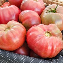 Black Krim Tomato Seed