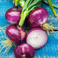 Red Candy Apple Onion  Seed