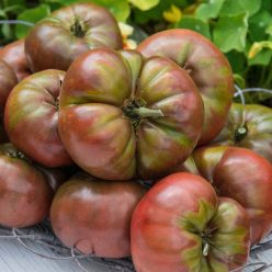 Cherokee Carbon Hybrid Tomato  Seed