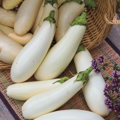Casper Eggplant Seed