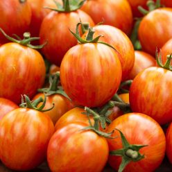 Sparky Cherry Hybrid Tomato  Seed