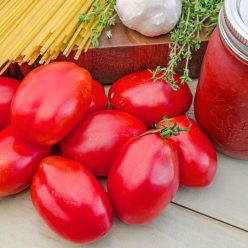 Amish Paste Tomato  Seed