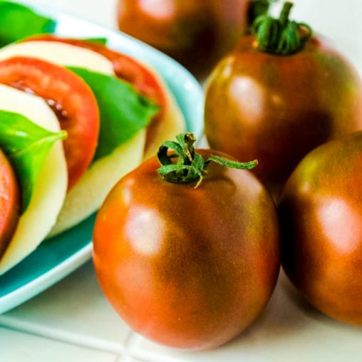 Black Velvet Hybrid Tomato  Seed - Image 2