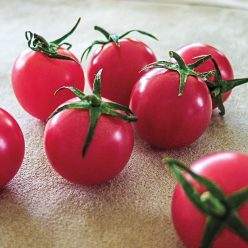 Sweet Treats Hybrid Tomato  Seed